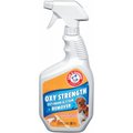 Church & Dwight 32Oz Pet Odor & Stain 11040